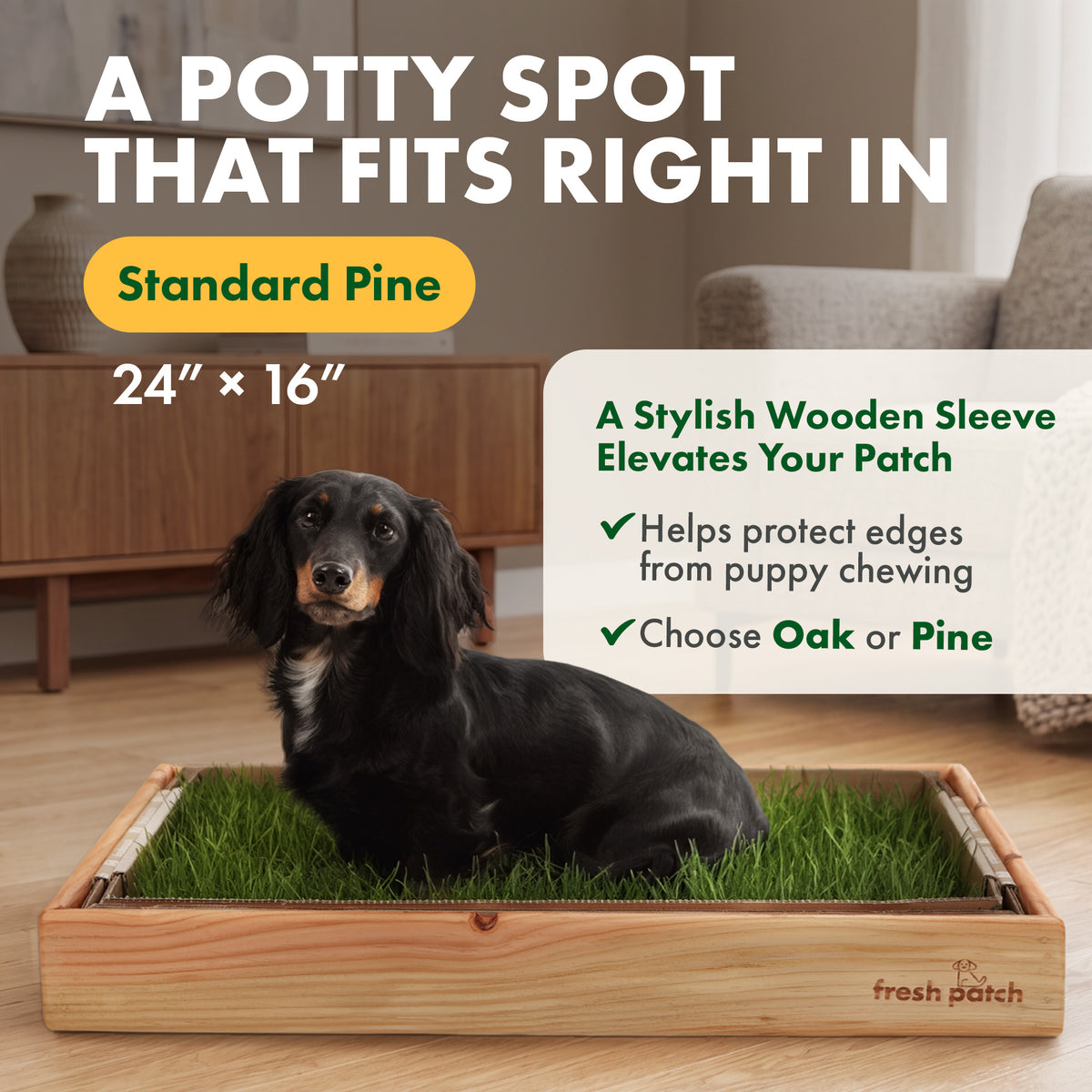 Black and tan dachshund sitting on a Fresh Patch grass tray in a pine wood frame in a living room. Text reads: A potty spot that fits right in. Standard Pine, 24 by 16 inches. A stylish wooden sleeve elevates your patch. Helps protect edges from puppy chewing. Choose Oak or Pine.