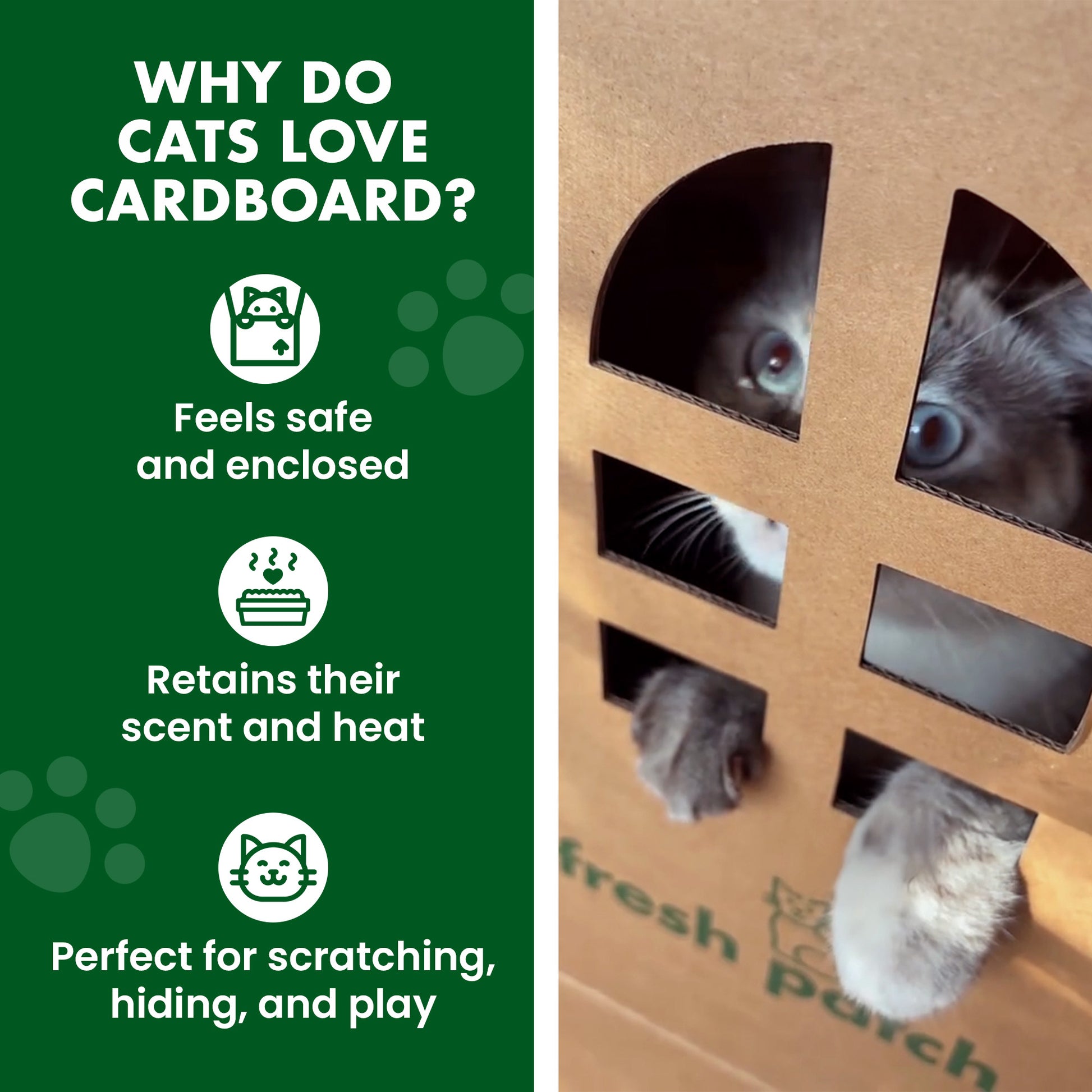Cardboard box with cat peeking out and text explaining why cats love cardboard.