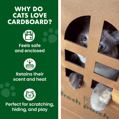 Cardboard box with cat peeking out and text explaining why cats love cardboard.