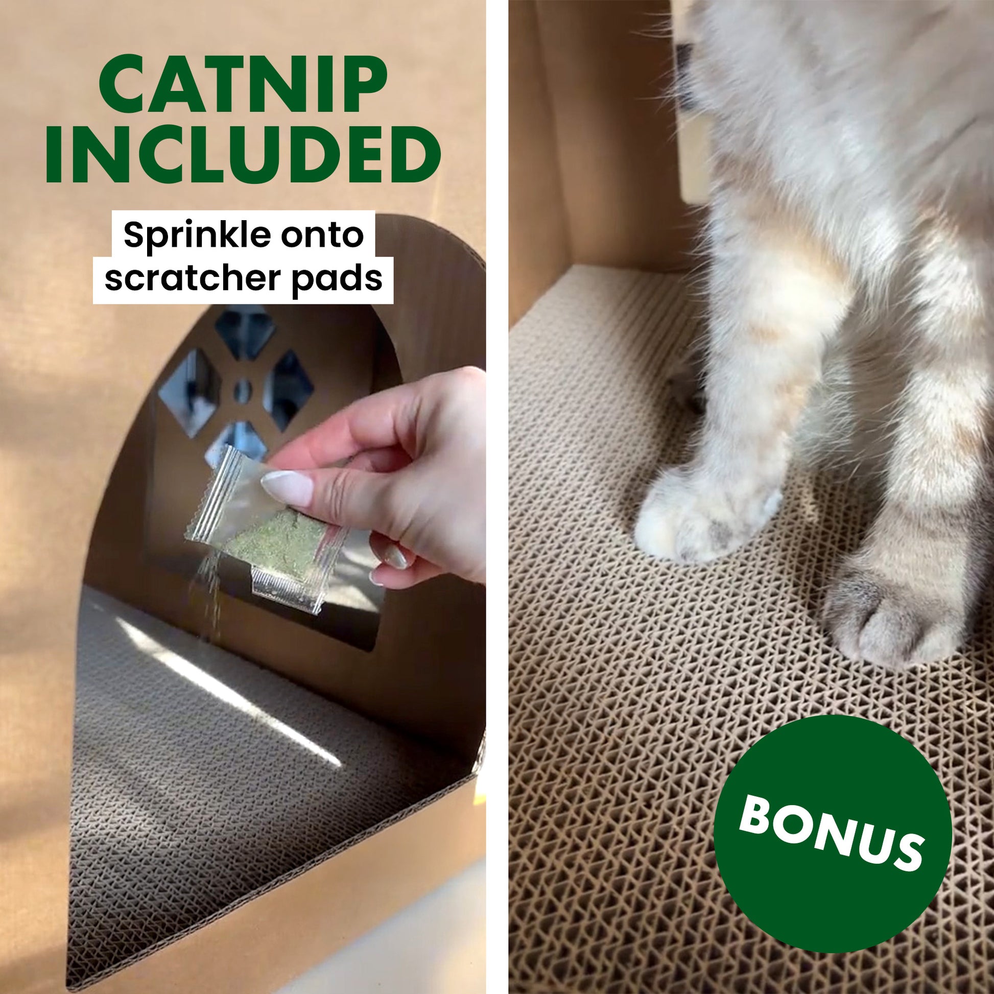 Catnip included with a hand holding catnip and a cat using a scratcher pad.