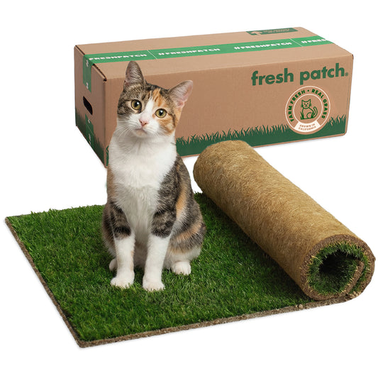Cat sitting on a green artificial grass mat with a roll of fresh patch product and packaging in the background.