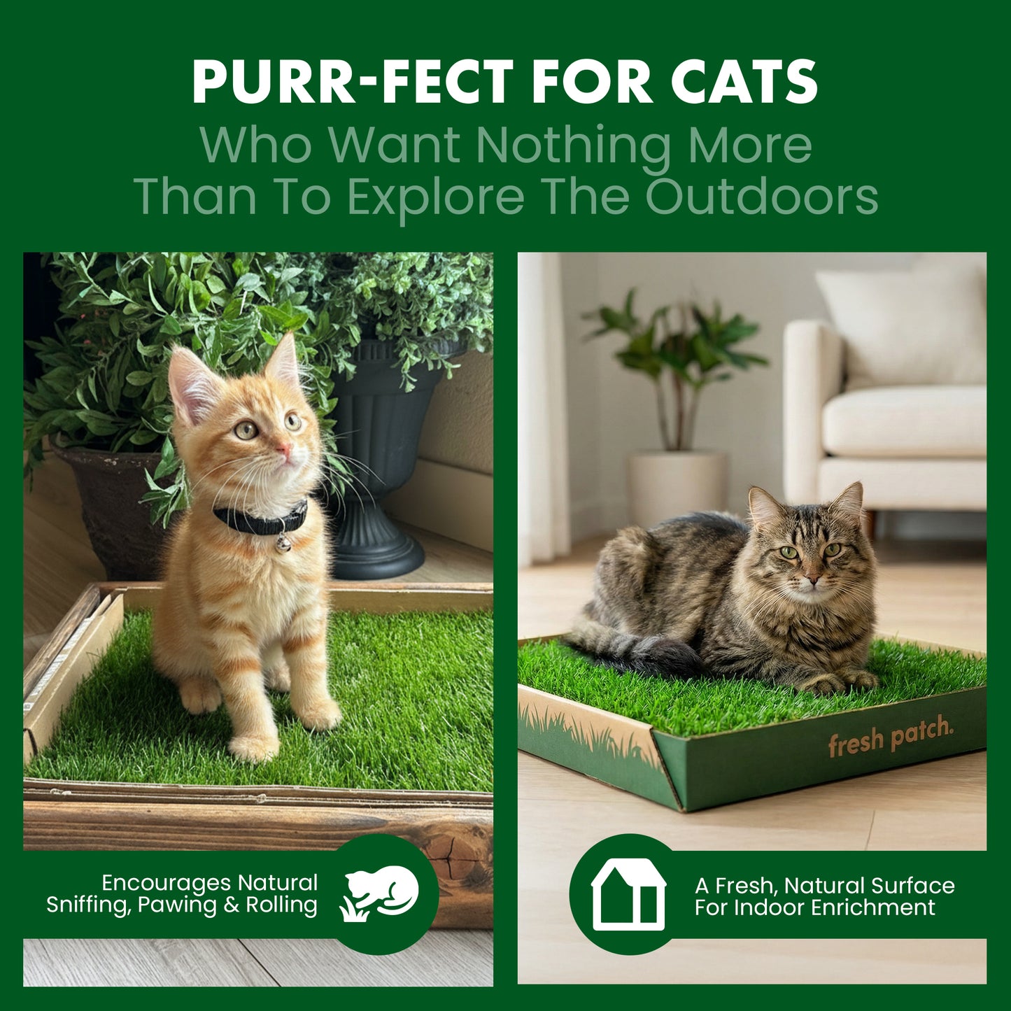 Two cats on grass patches with promotional text and branding for a product called 'fresh patch'.