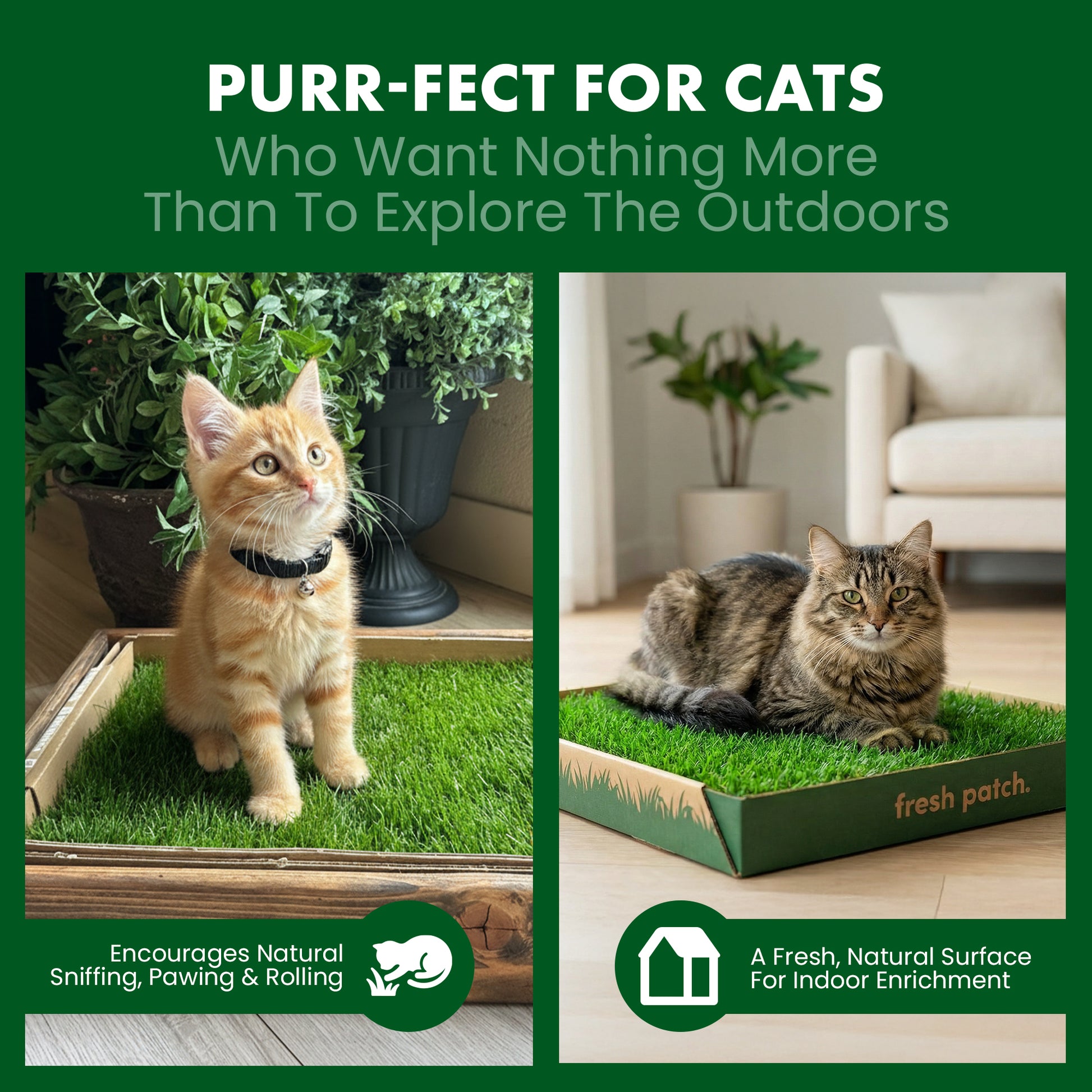 Two cats on grass patches with promotional text and branding for a product called 'fresh patch'.