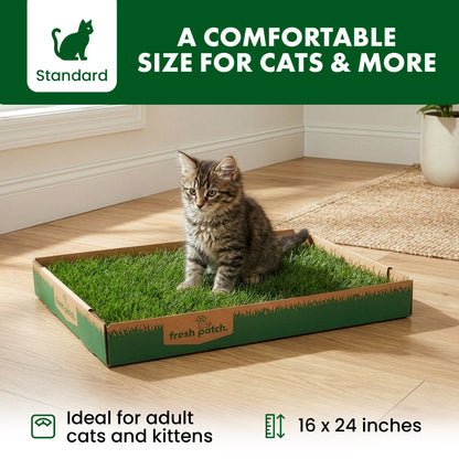 Cat using a grass patch product on a wooden floor with branding and text overlay.