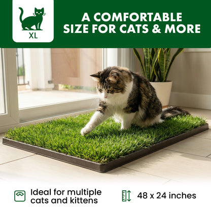 Cat using a grass-like mat indoors with text about size and suitability for cats and kittens.
