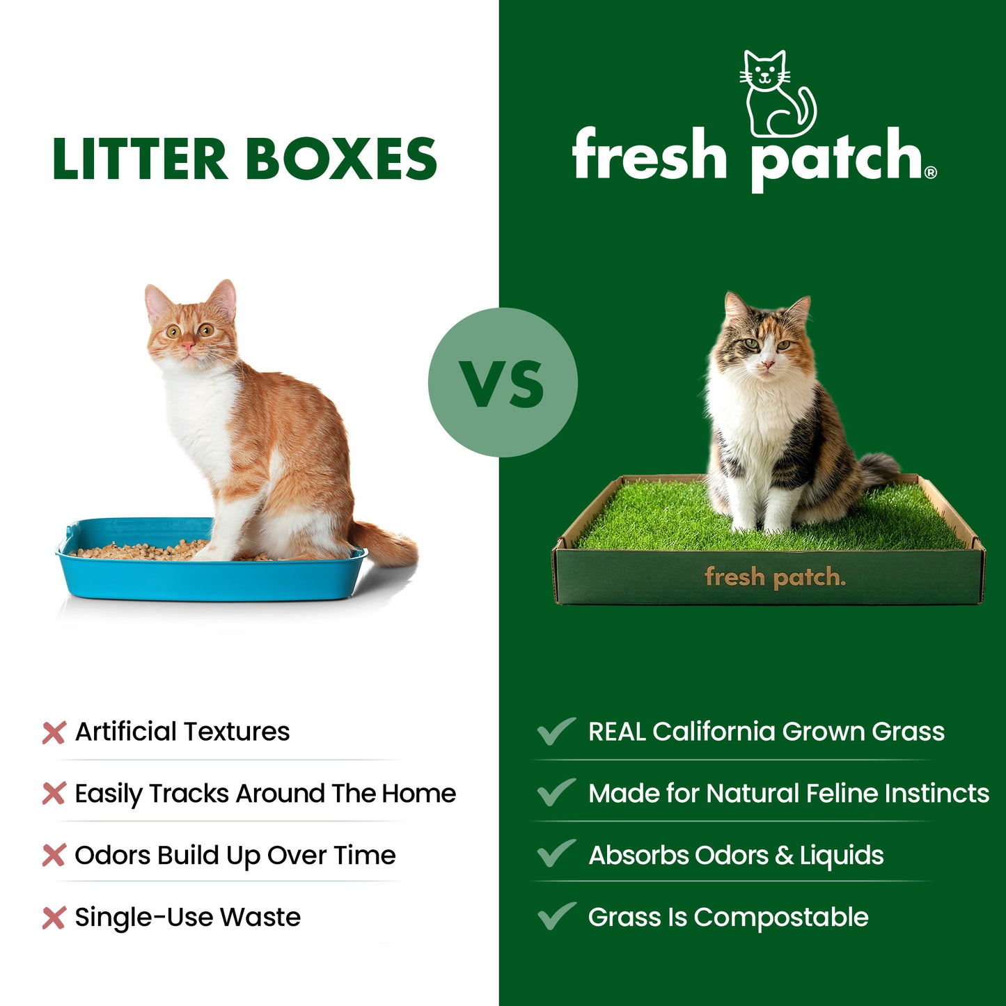 Comparison of traditional litter box with fresh patch litter box featuring a cat using each.