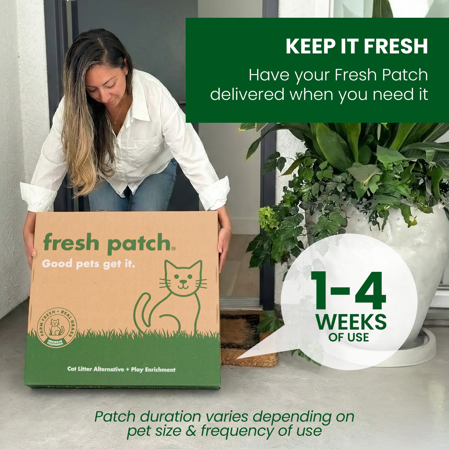 Fresh Patch (Standard)