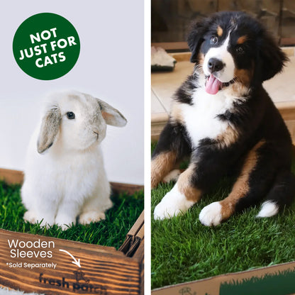 Split image with a rabbit and a dog on grass, with text indicating 'Not Just for Cats' and 'Wooden Sleeves'.