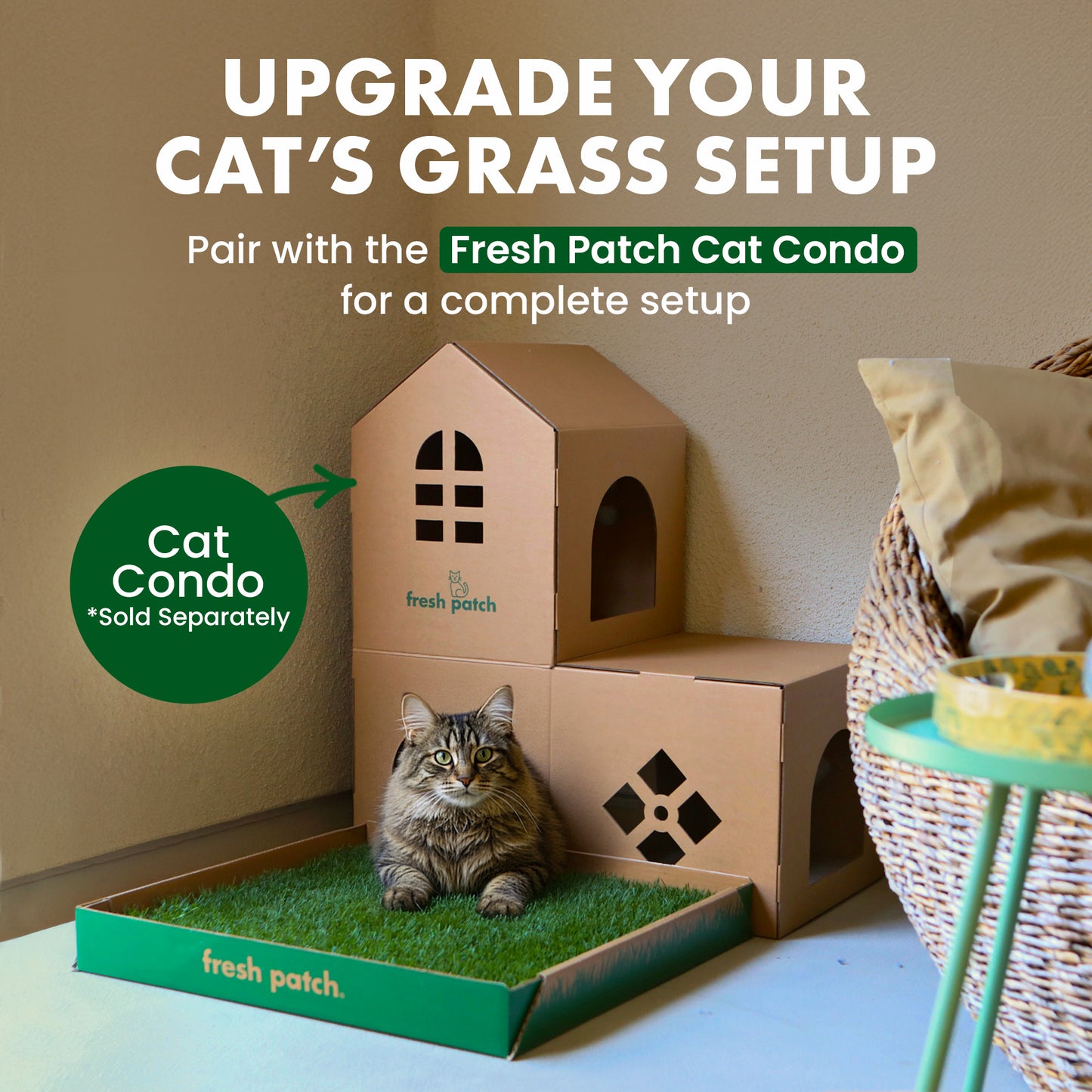 Cat sitting on a Fresh Patch cat condo with grass, accompanied by text promoting the product.