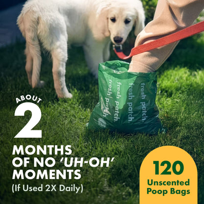 Dog with a green 'fresh patch' poop bag dispenser on grass