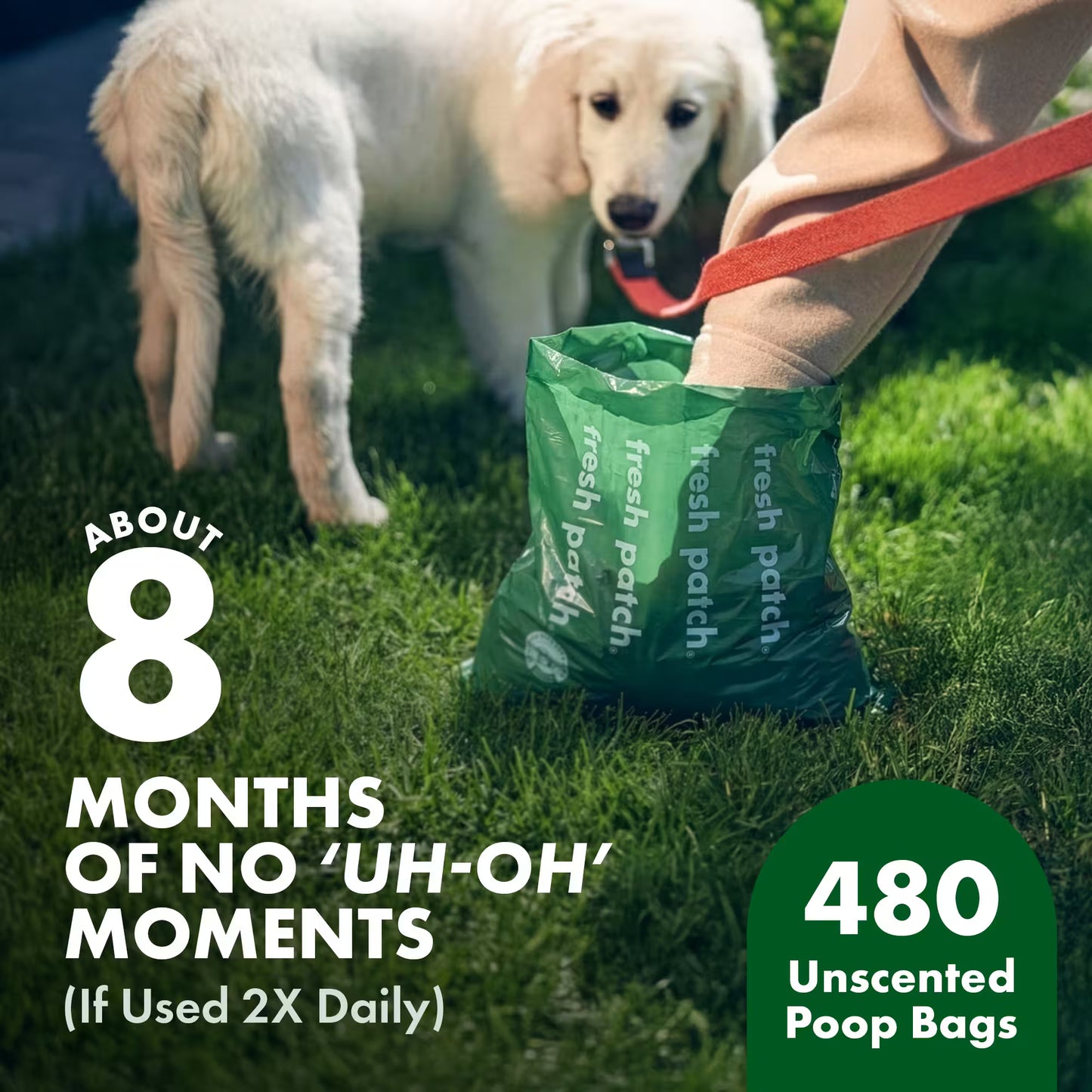 Dog with a green bag of fresh patch poop bags on grass, with text about usage duration.