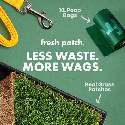 Dog waste management products including a roll of XL poop bags, a yellow leash, and a patch of real grass on a green background.