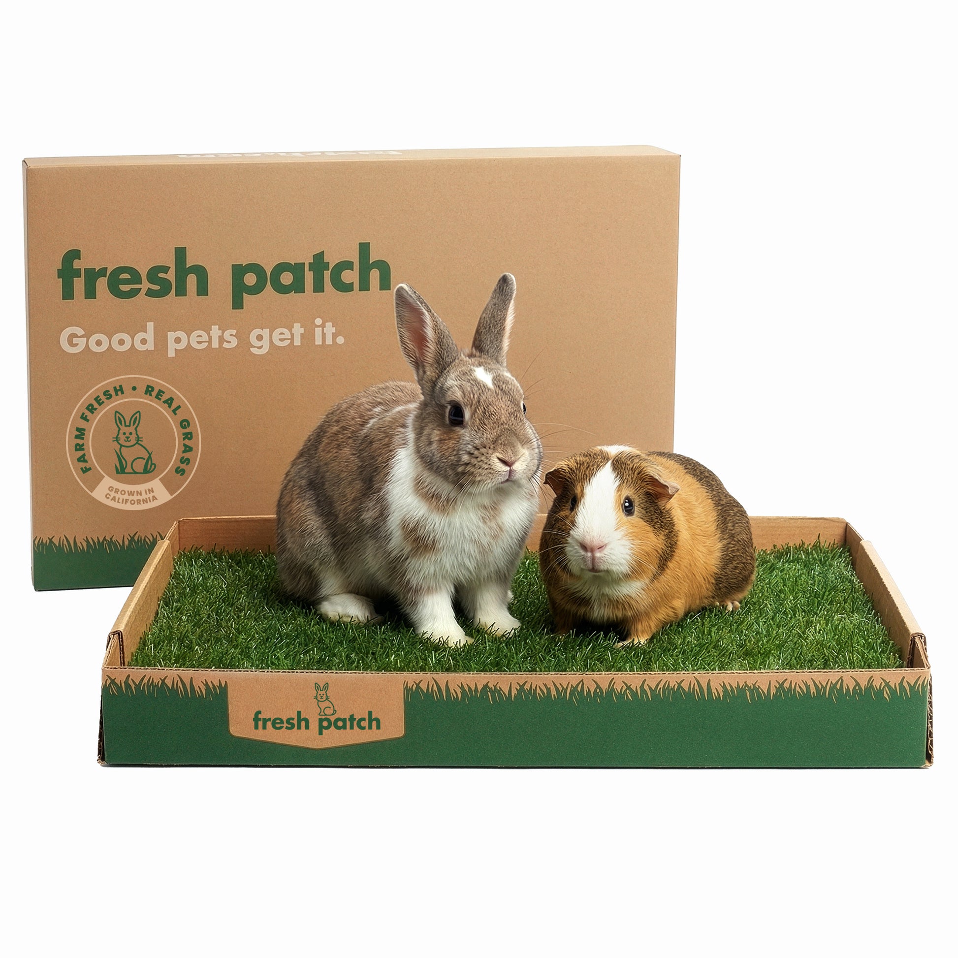 Two small animals, a rabbit and a guinea pig, inside a 'fresh patch' branded box on a white background.
