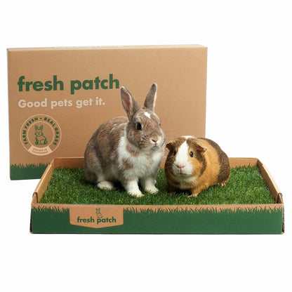 Two small animals, a rabbit and a guinea pig, inside a 'fresh patch' branded box on a white background.