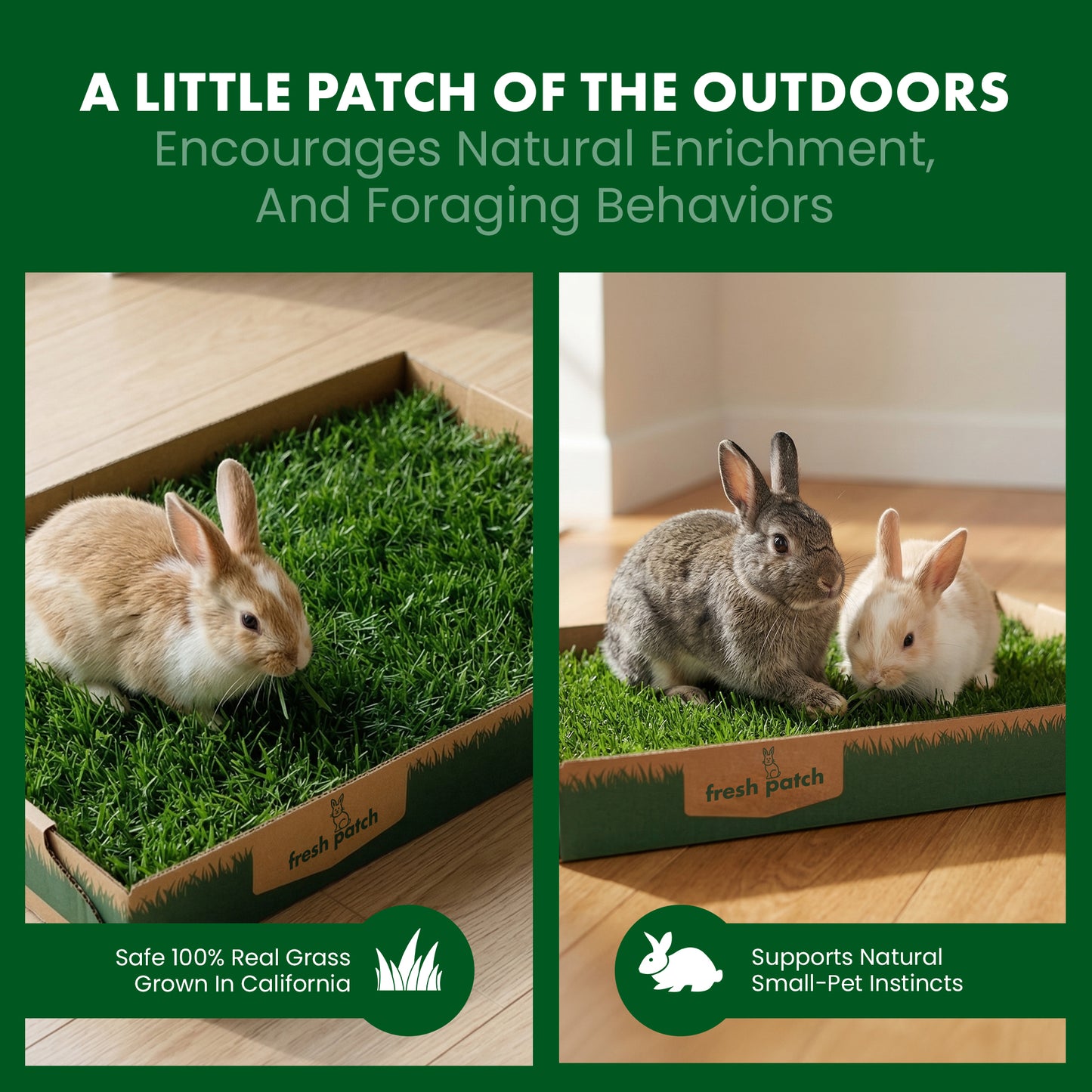 Two rabbits on grass patches in boxes with promotional text about natural enrichment and foraging behaviors.