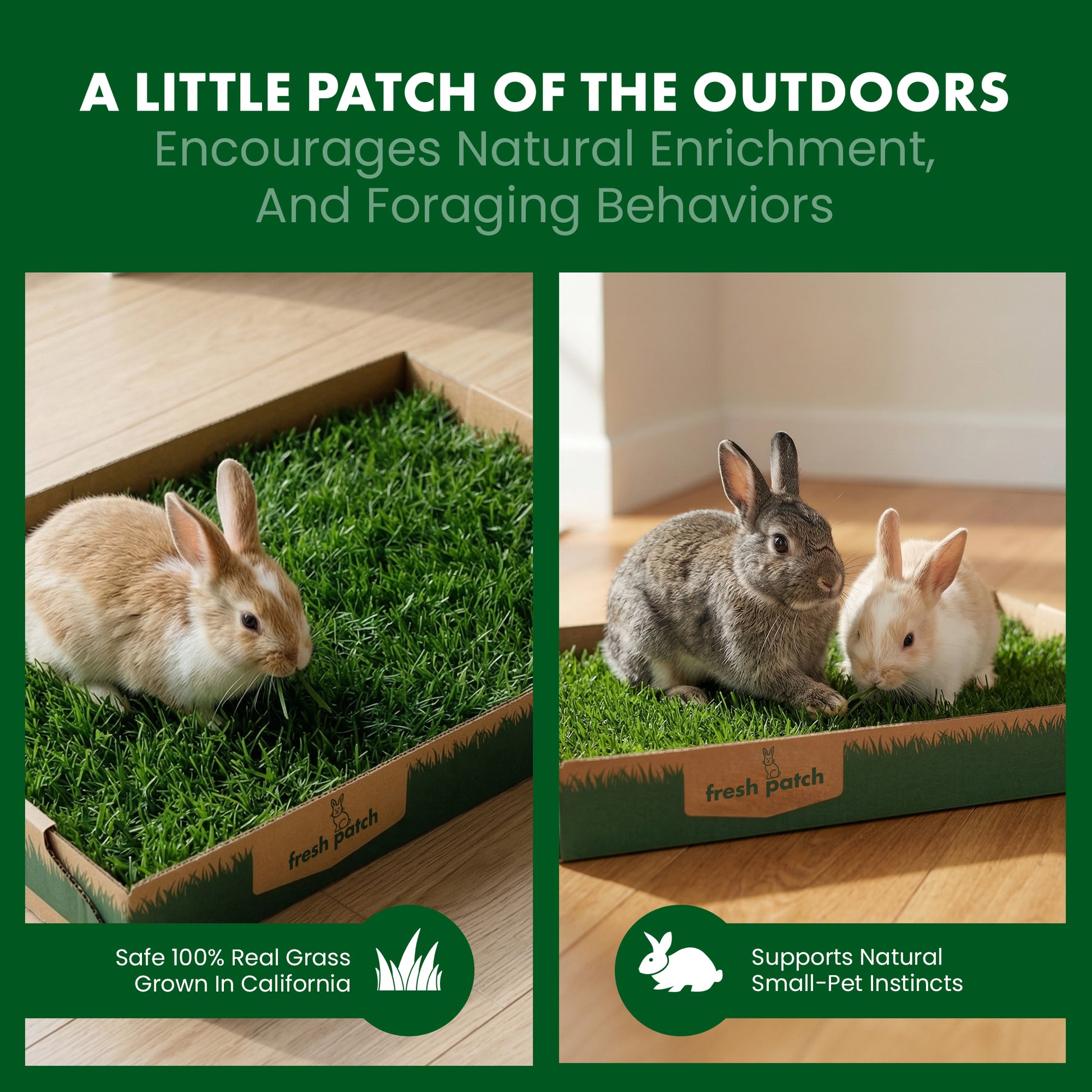 Two rabbits on grass patches in boxes with promotional text about natural enrichment and foraging behaviors.
