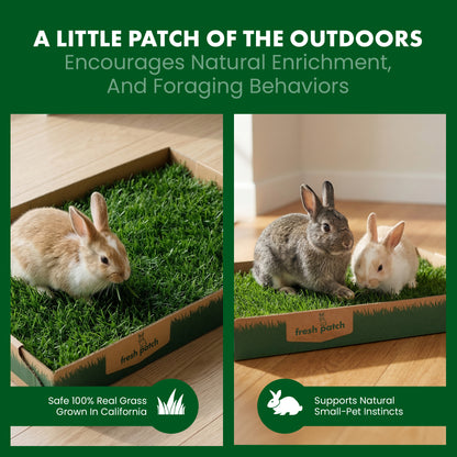 Two rabbits on grass patches in boxes with promotional text about natural enrichment and foraging behaviors.