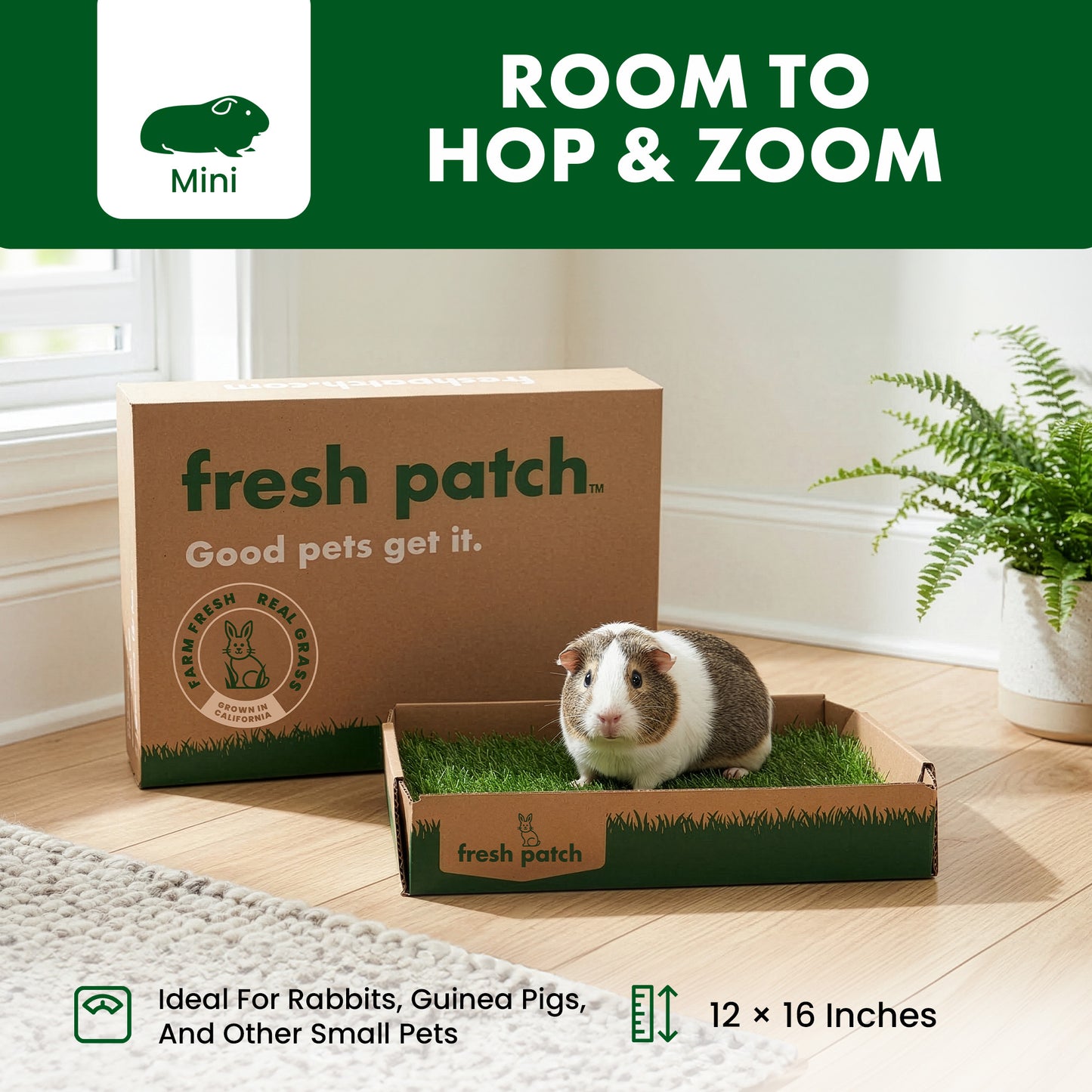 Small pet in a 'fresh patch' pet product box with text about room size and ideal pets.