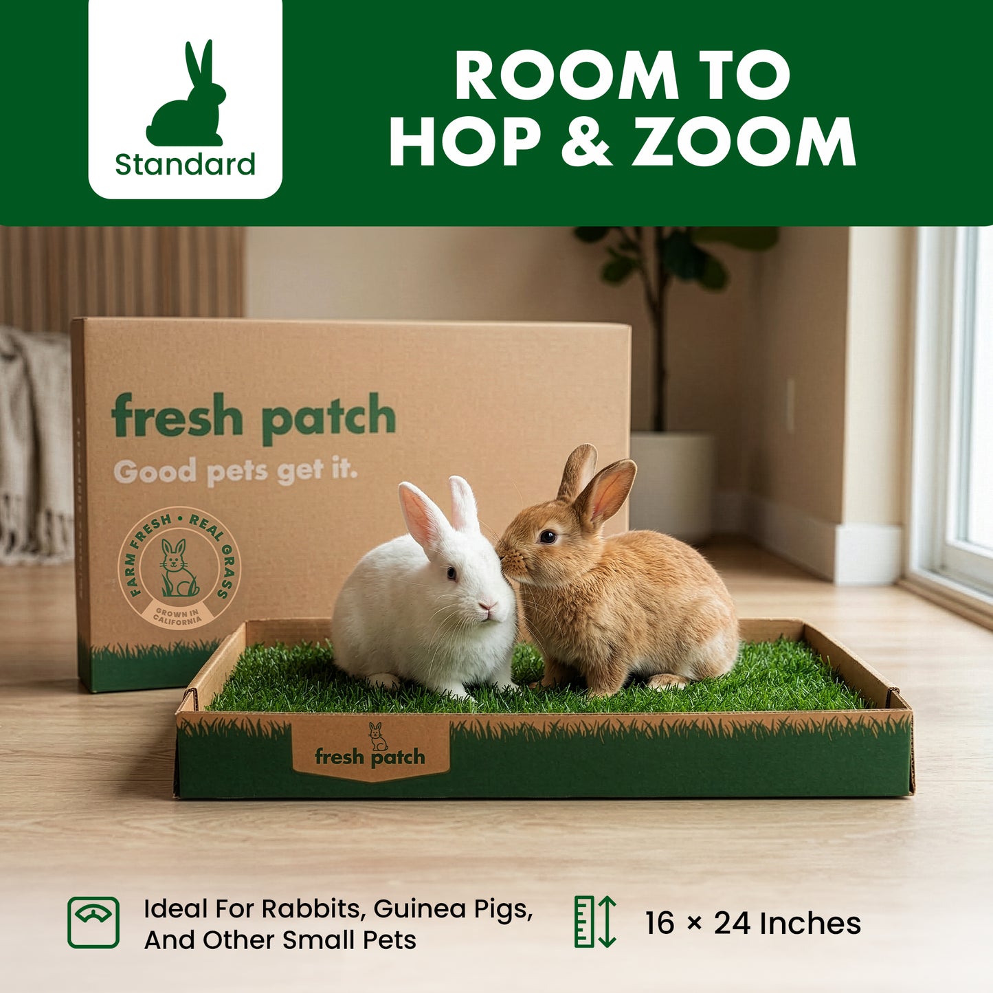 Two rabbits on a fresh patch pet bed with a cardboard box labeled 'fresh patch' in the background.