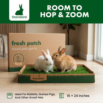Two rabbits on a fresh patch pet bed with a cardboard box labeled 'fresh patch' in the background.