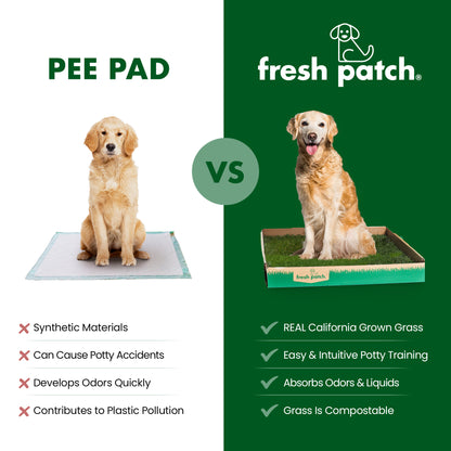 Comparison of synthetic pee pad vs. fresh patch with a dog sitting on each, highlighting features of fresh patch.