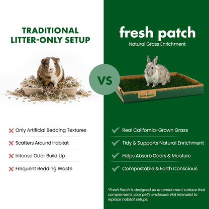 Comparison of traditional litter-only setup vs. fresh patch natural grass enrichment for pets.