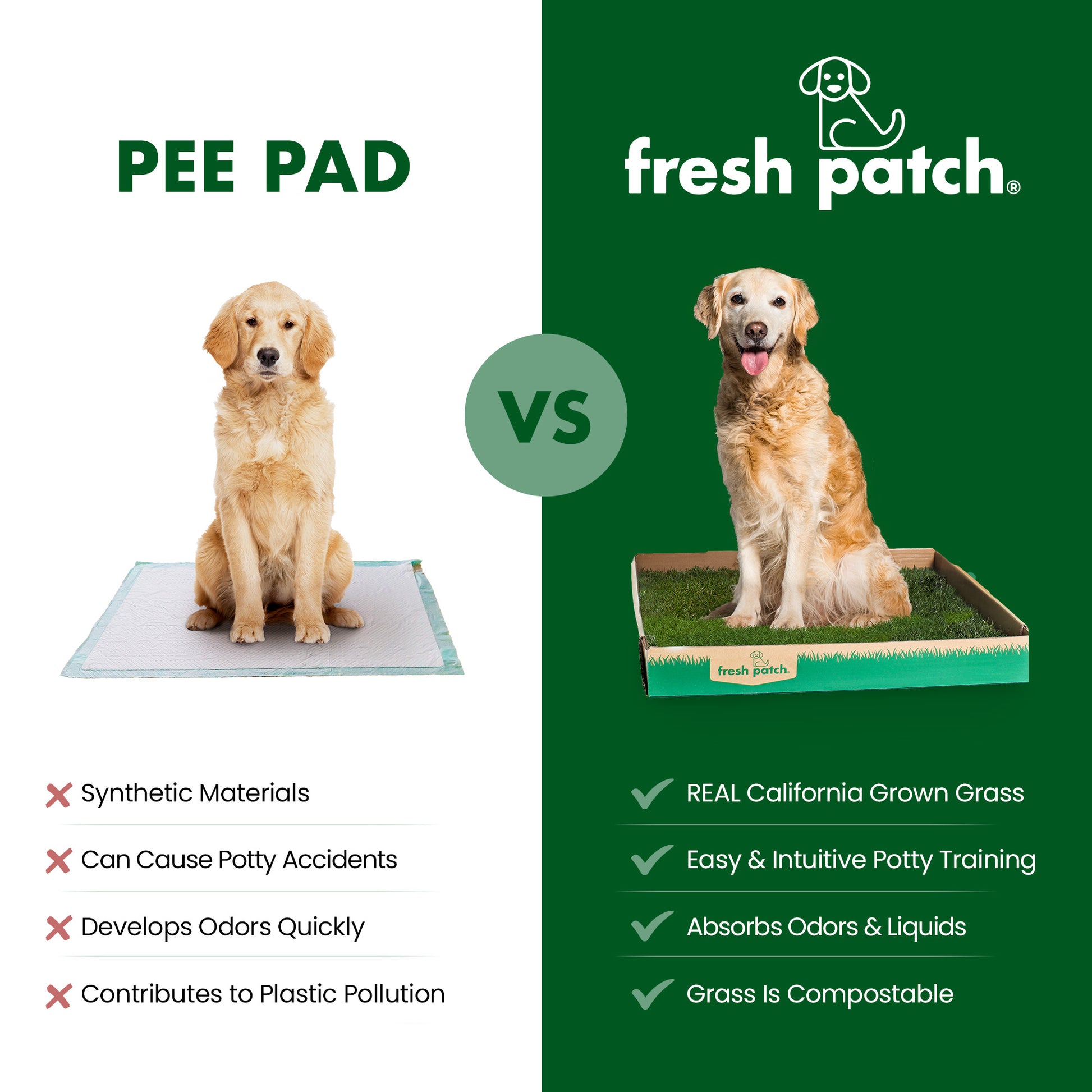 Comparison of synthetic pee pad vs. fresh patch with a dog sitting on each, highlighting features of fresh patch.