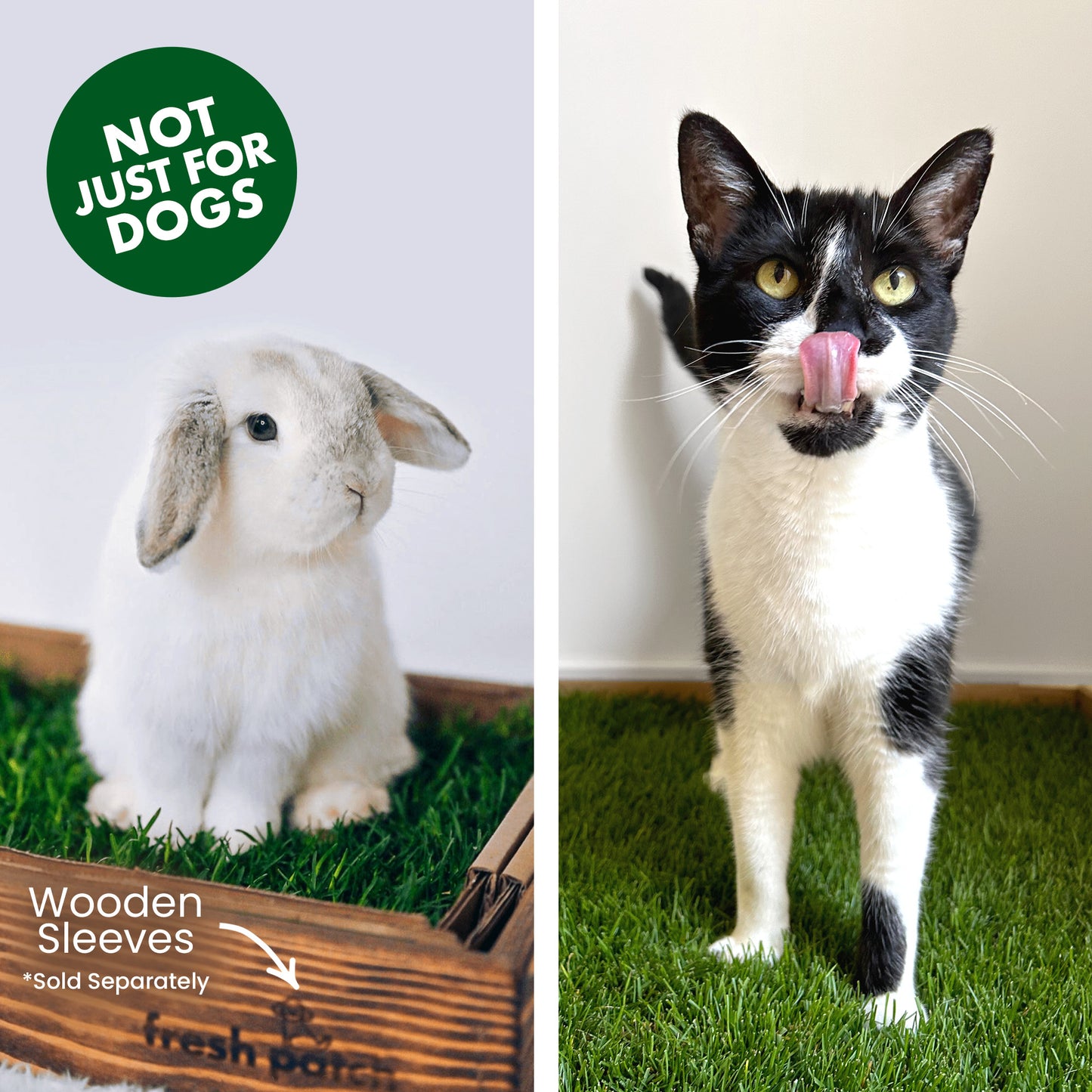 Split image with a rabbit and a cat on grass, promoting 'Not Just for Dogs' product.
