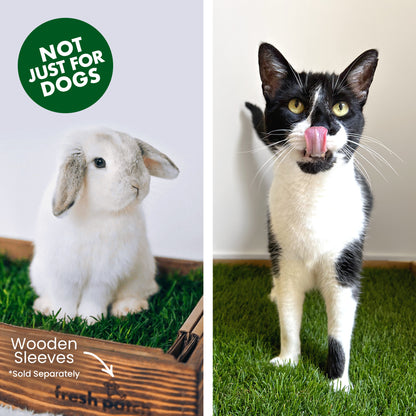 Split image with a rabbit and a cat on grass, promoting 'Not Just for Dogs' product.