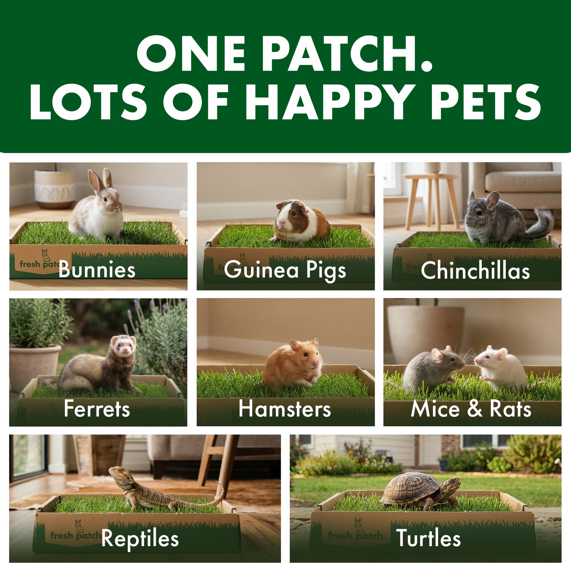 Collage of small animals in grass patches with text indicating types of pets.