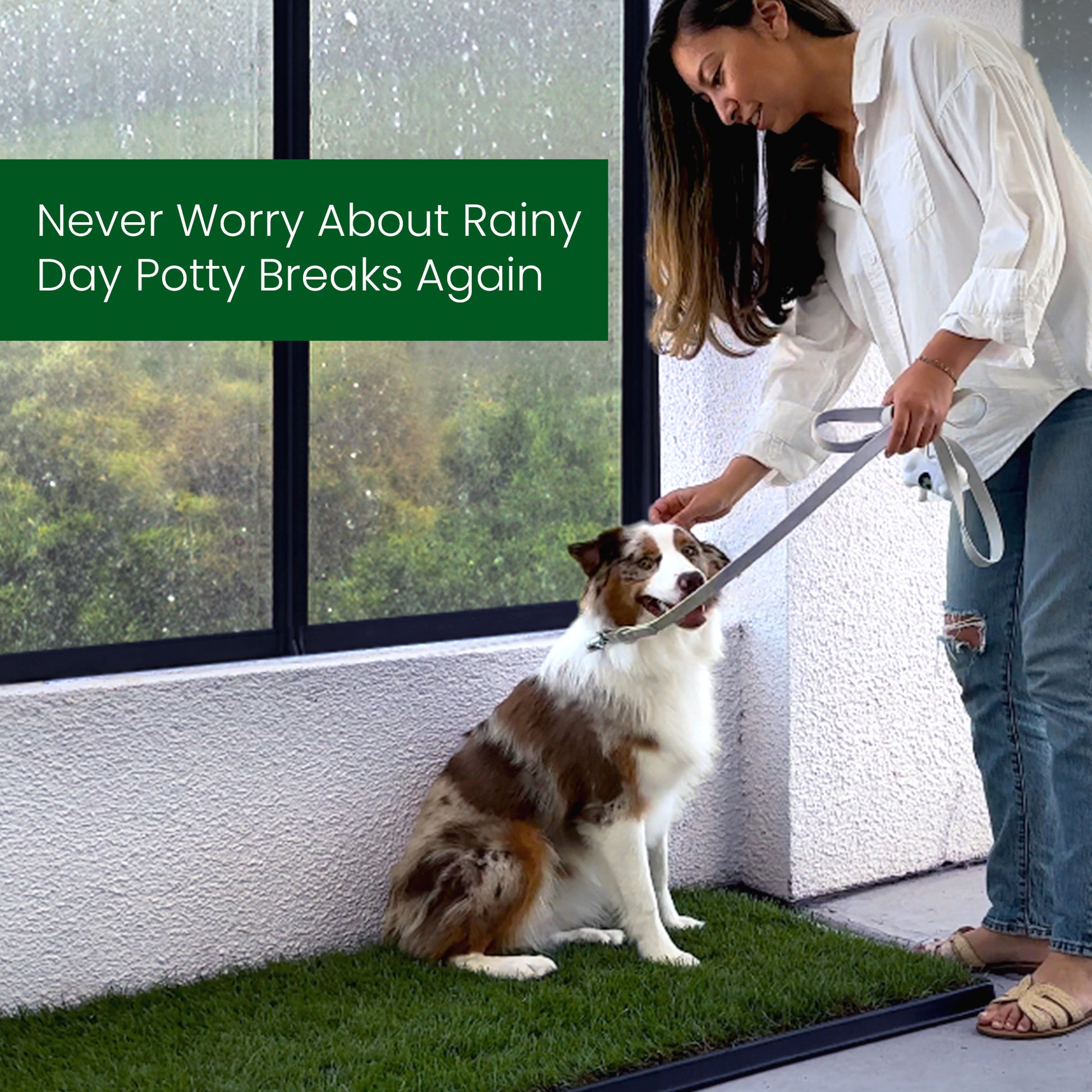 Woman with a dog on a leash by a window with rain outside, text 'Never Worry About Rainy Day Potty Breaks Again'.