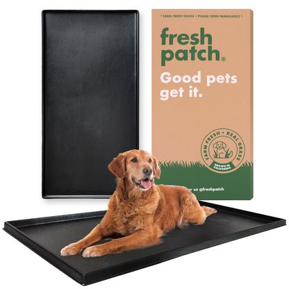 Plastic Tray (Fresh Patch XL)