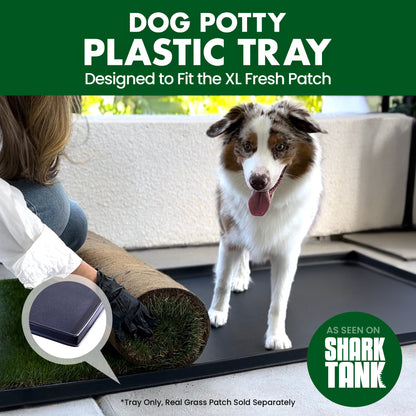 Plastic Tray (Fresh Patch XL)