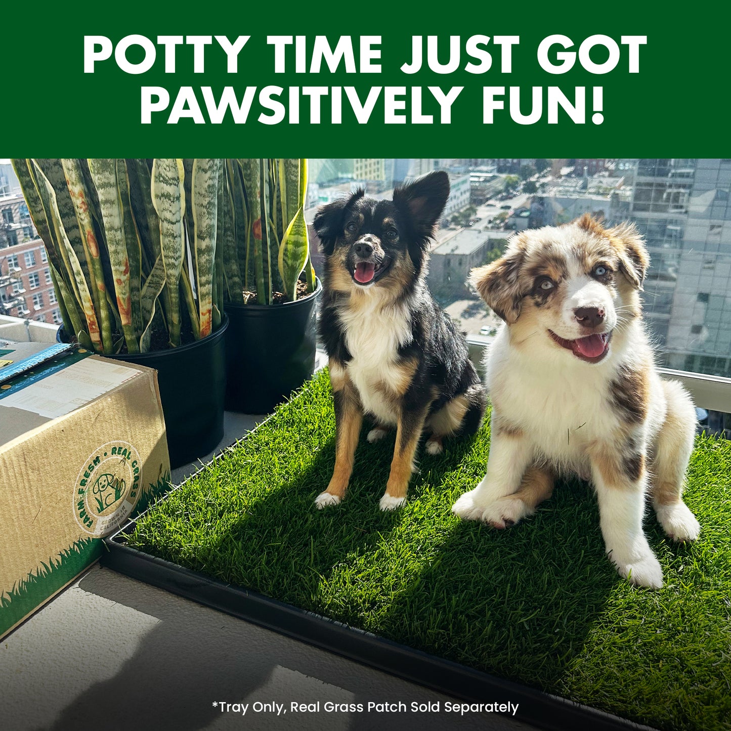 Plastic Tray (Fresh Patch XL)