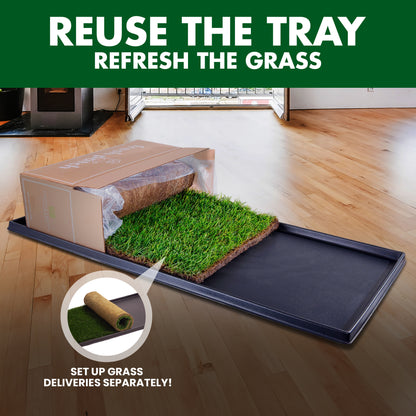 Grass delivery tray with grass roll on a wooden floor, text 'Reuse the tray, refresh the grass'.
