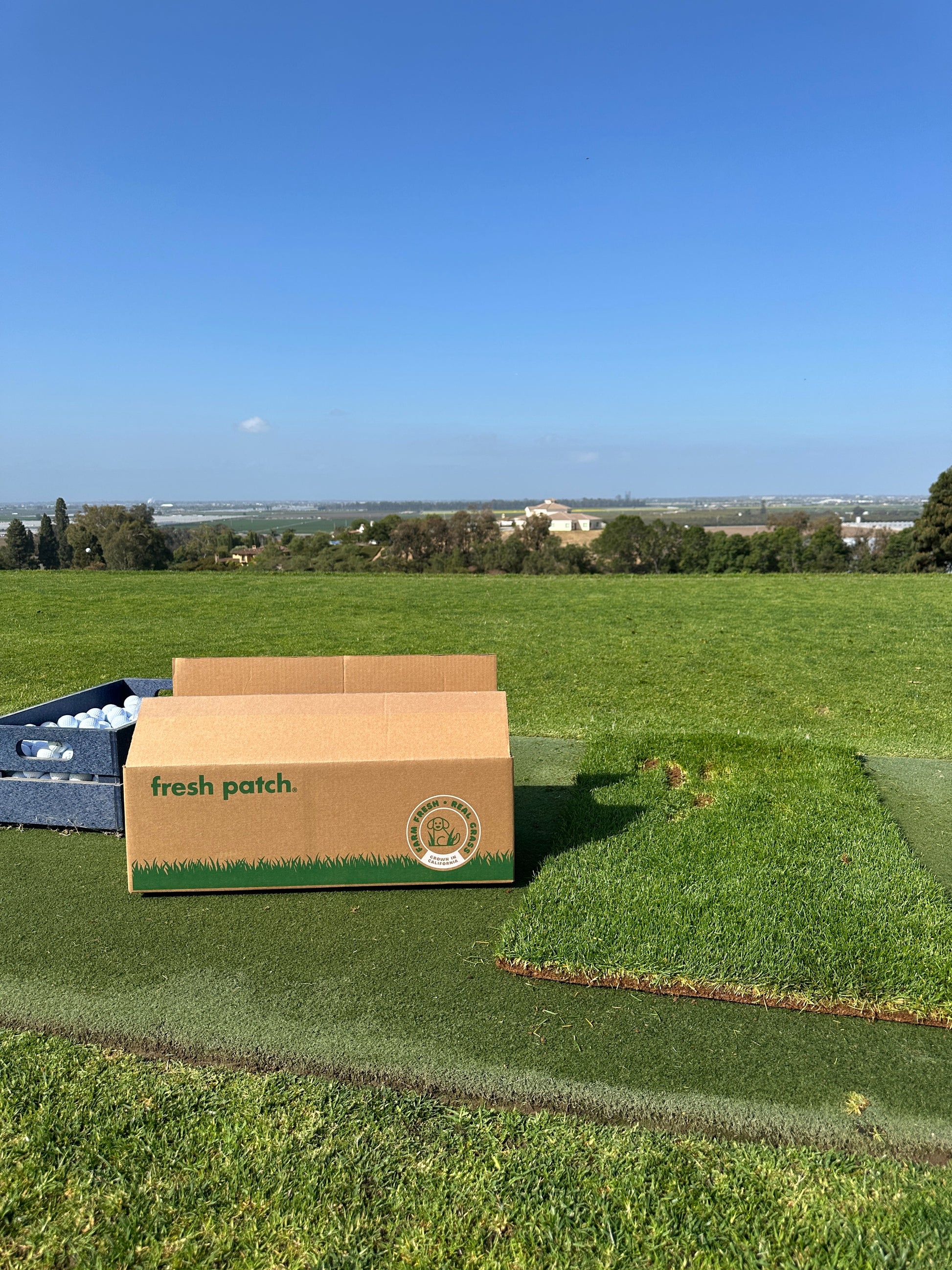 Box of fresh patch on a golf course with a clear blue sky