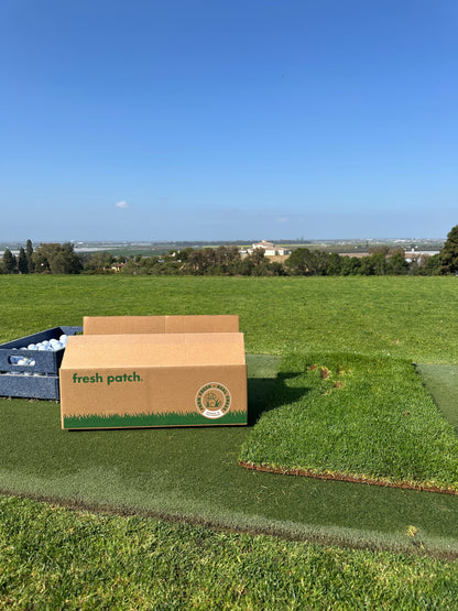 Box of fresh patch on a golf course with a clear blue sky