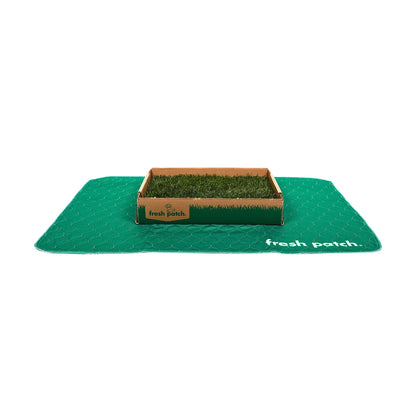Green pad with a small box of grass on a white background