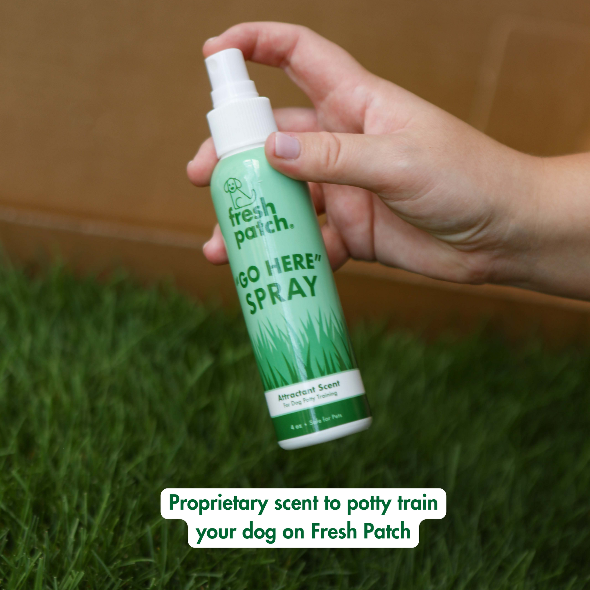 GO HERE Dog Potty Spray
