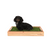 Mini Dachshund on Fresh Patch Standard Puppy Pack in Pine