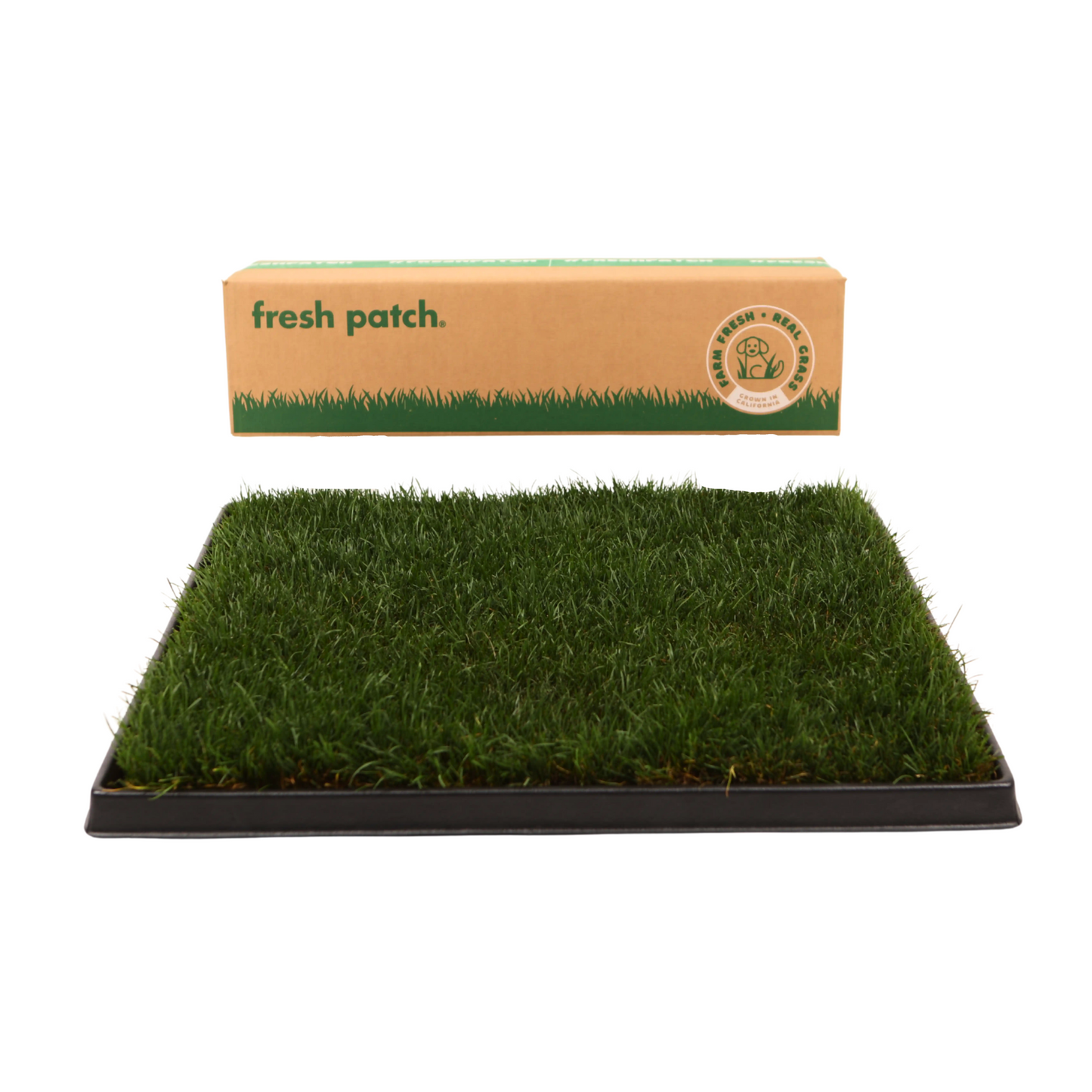 Grass patch on a black tray with 'fresh patch' packaging above  on a white background