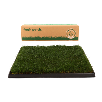 Grass patch on a black tray with 'fresh patch' packaging above  on a white background