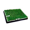 Size Dimensions 24 inches by 24 inches of Fresh Patch Grass Pet Potty on Tray