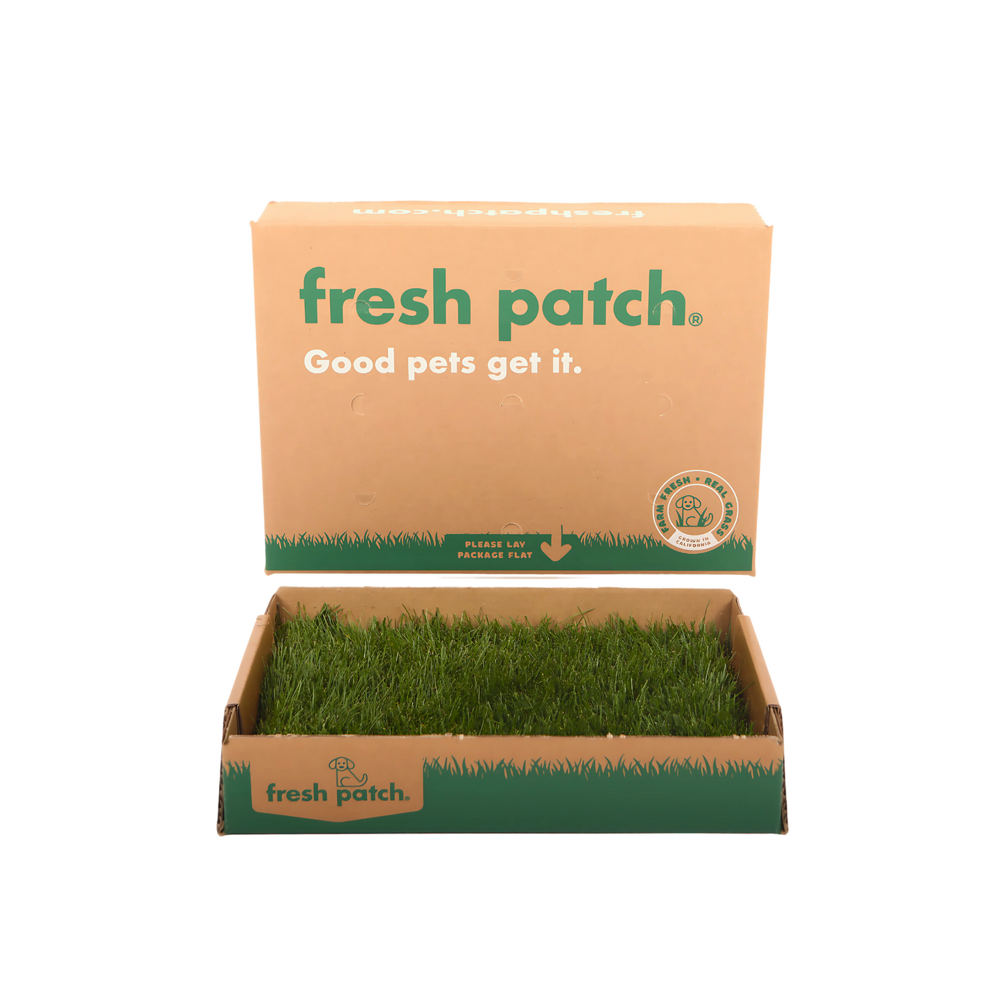 Box of fresh patch with green real grass  on a white background