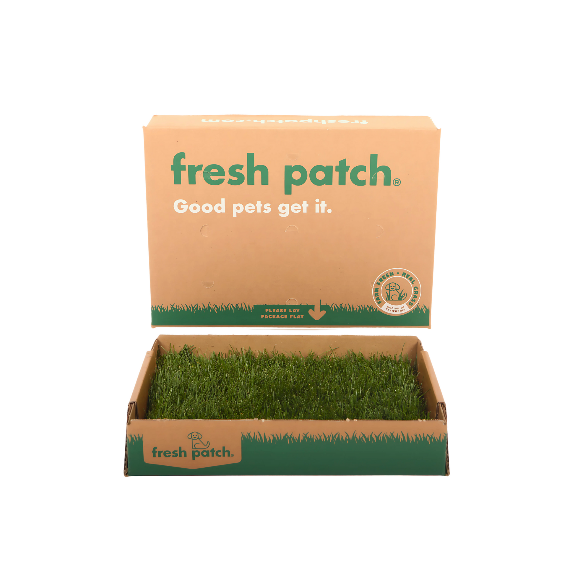 Box of fresh patch with green real grass  on a white background