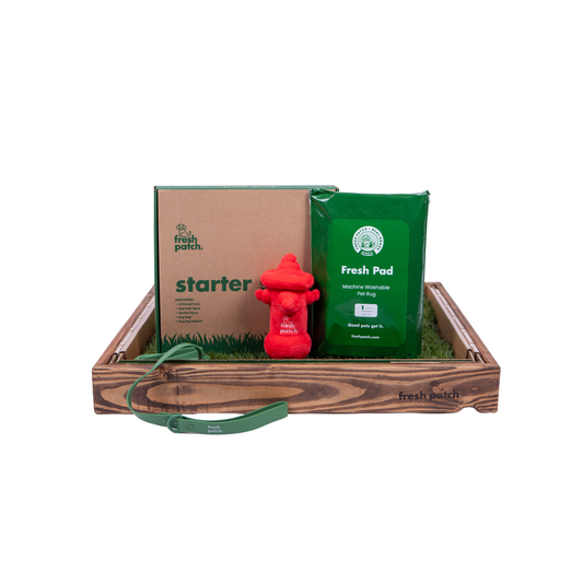 Dog training kit with green 'Fresh Pad' packaging, red fire hydrant toy, and wooden tray on a white background.