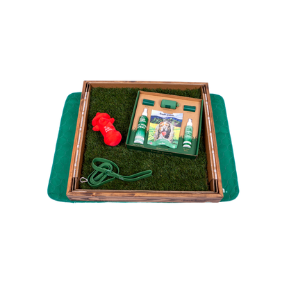 Dog training kit with treats, leash, and red dog toy on a green tray.