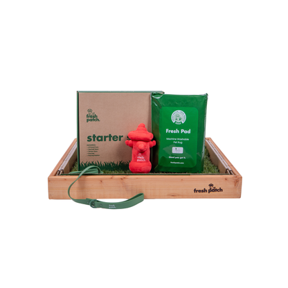 Dog training kit with green bag, red dog toy, and cardboard box on a white background