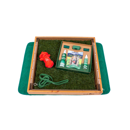 Dog training kit with treats, leash, and toy on a green tray