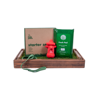 Dog training kit with cardboard box, green bag, red fire hydrant toy, and grass patch in a wooden tray.